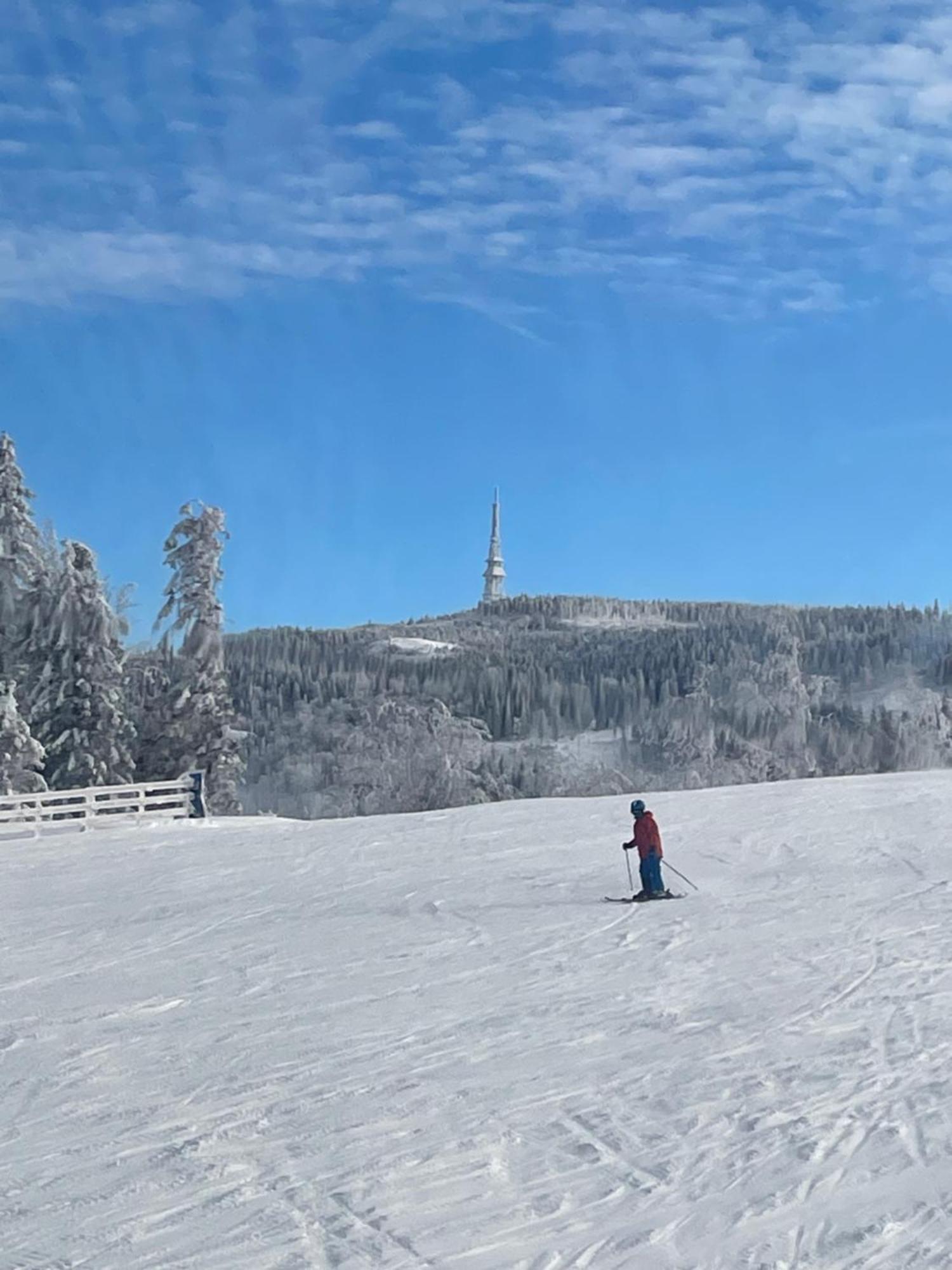 Widokowy Apartament Jodlowa Ski&Bike 什切尔克 外观 照片